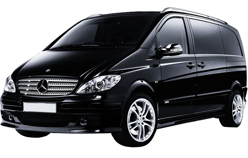 Mercedes Viano 